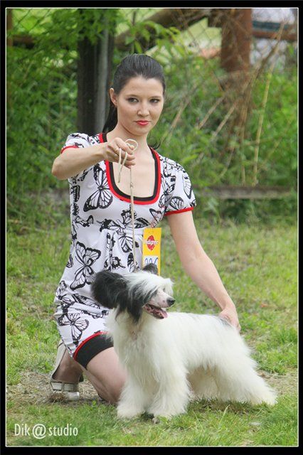 Naimuluna Line Halle Berry