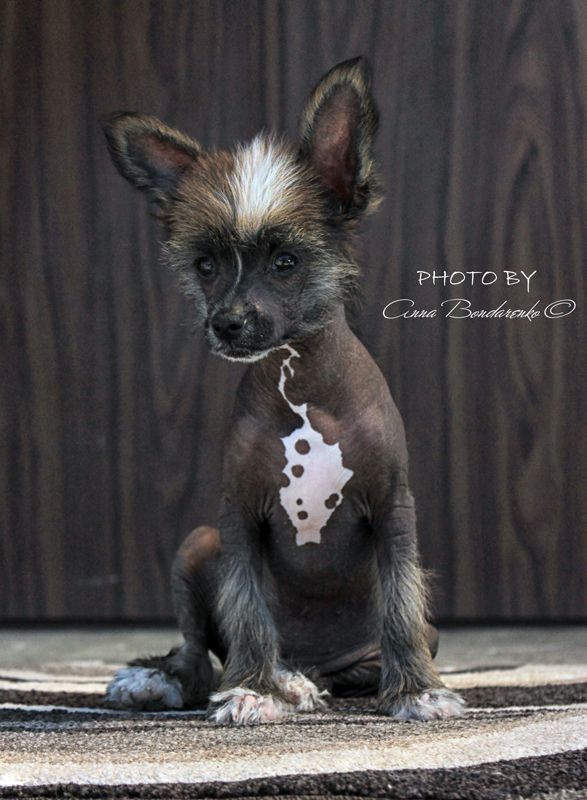 Dayana Beyond Belief Miracolo Dell'anima