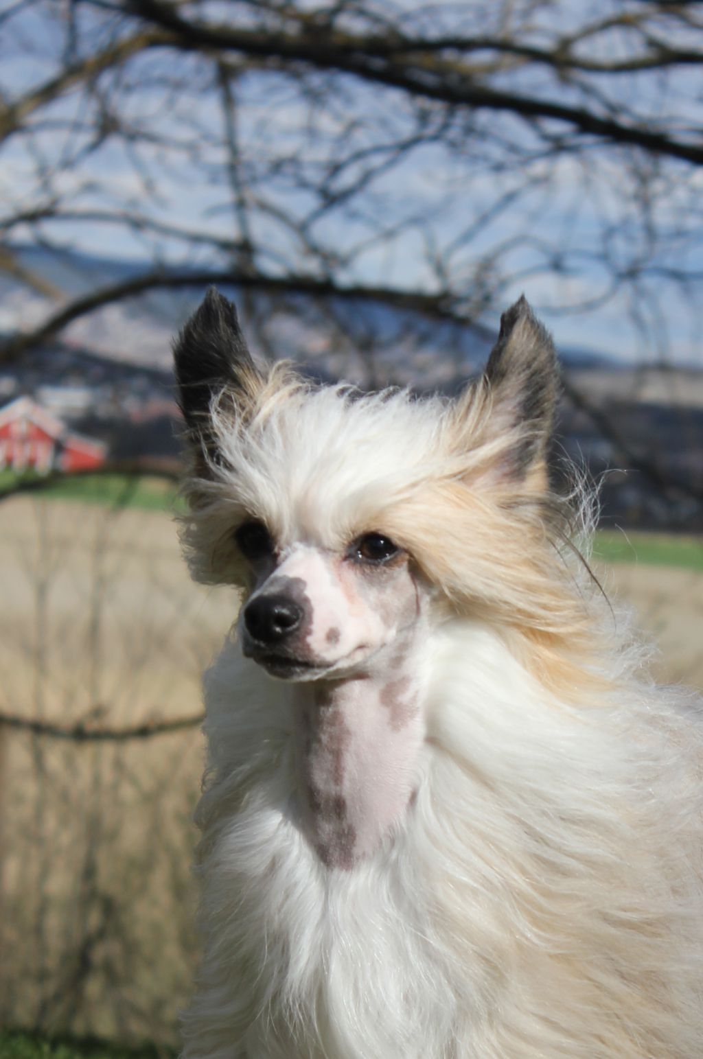 Blendverk's Butterfly Heaven