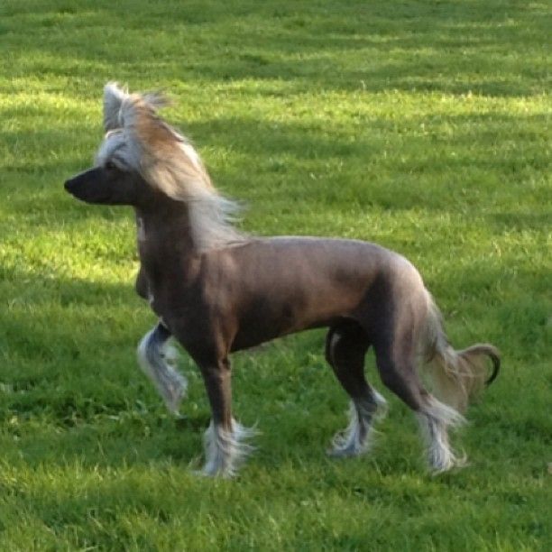 Kalimera's Party in Paris