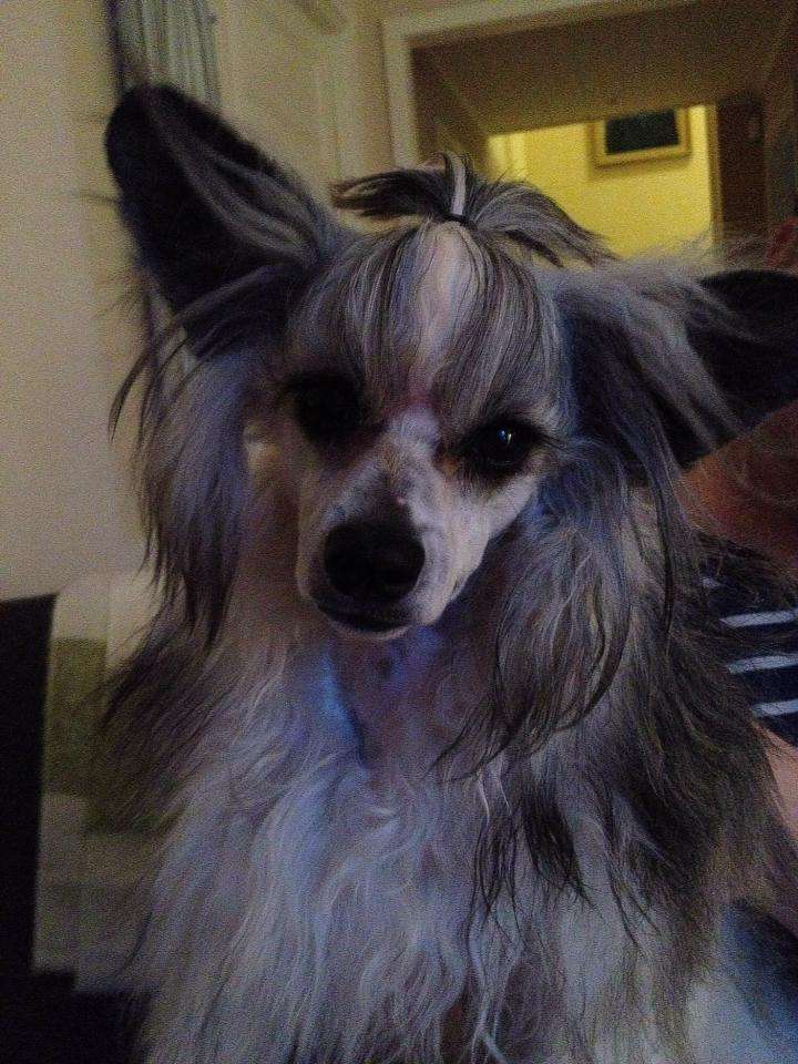 Kalimera's Sunny day in Manilla