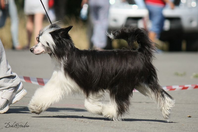 World Show Wostochnaya Skazka