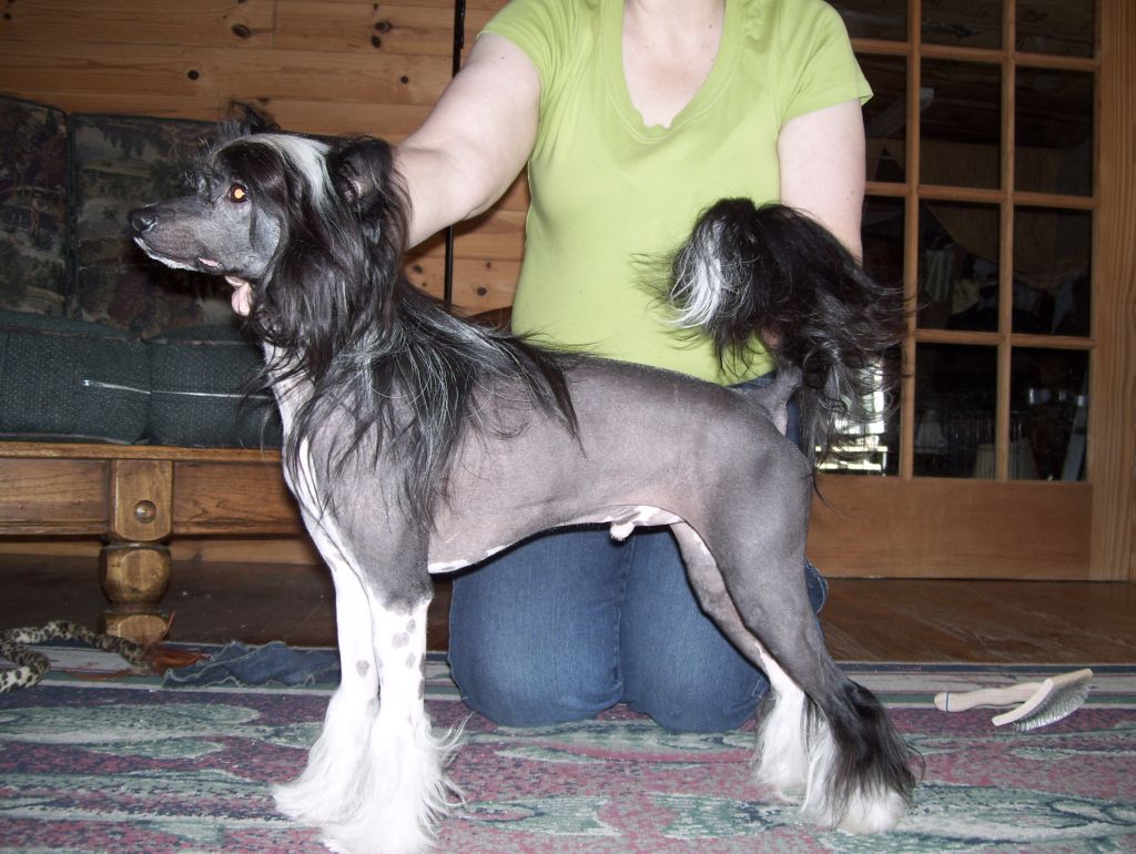 Kyloe's Feeling Hot Hot Hot at Zuo