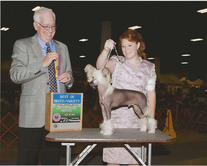 Jo-Bar's Breaking Dawn