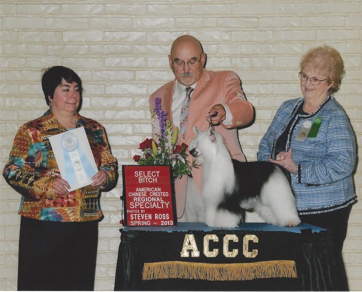 Multi Biss, Gchb Natural's All She Can Get Away Wi