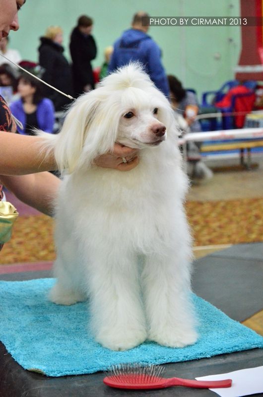 My Lucky Love  Isami