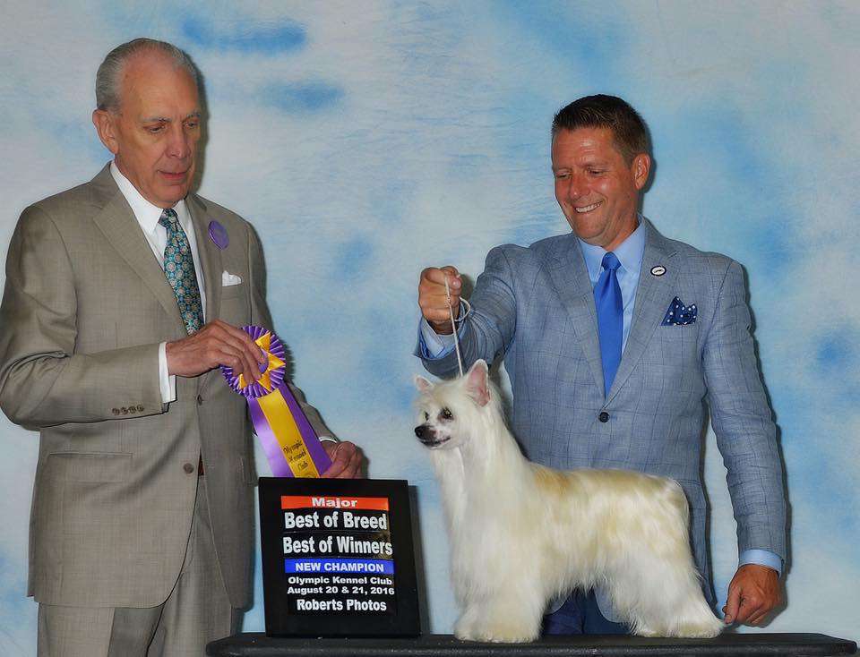 Bis Grch Taja Spumoni