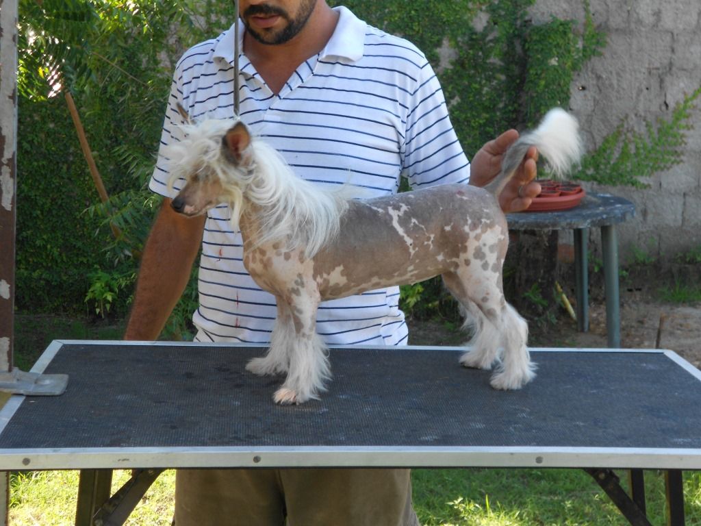 Arwen Praia do Sossego e Iris Azul