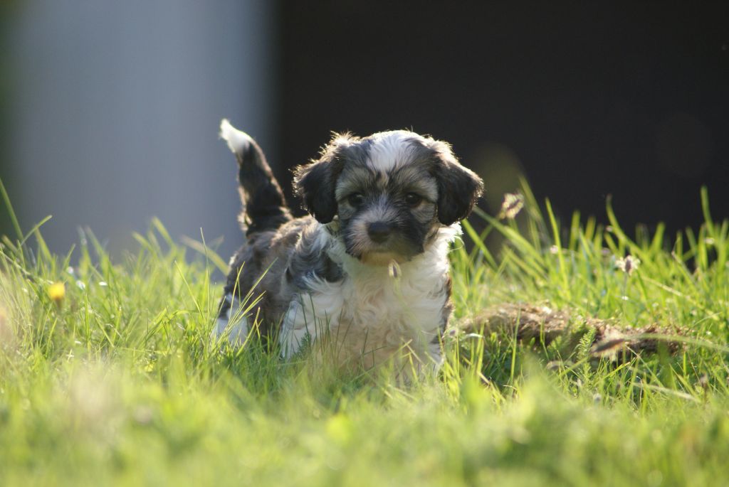 Nudaveritas Eternity Moment