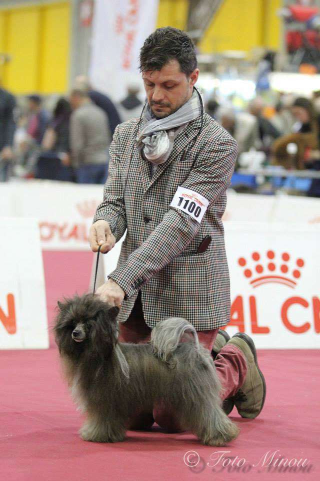 It. Ch. MyAngel n Cristall Bagheera.....!!!