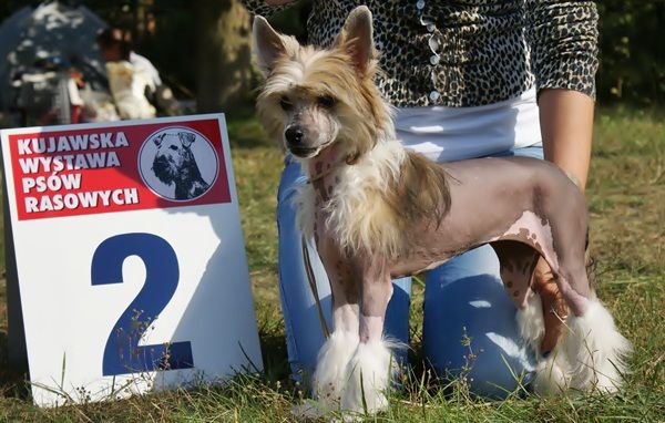 BIGEILA Valp fra Elizabeth