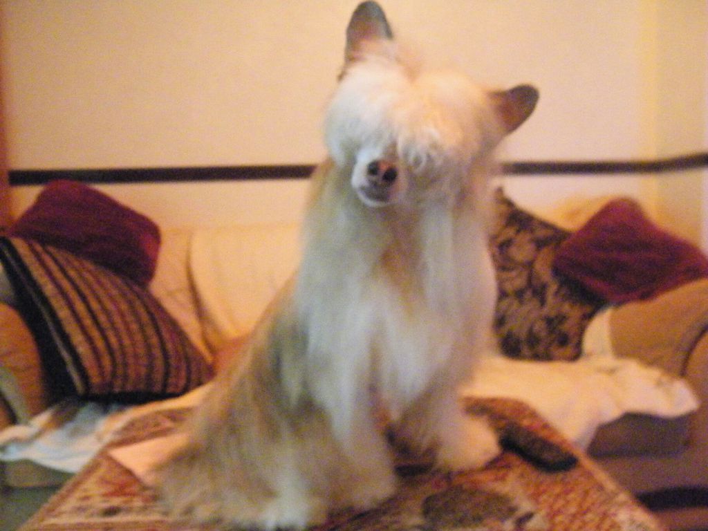 Despinia Face The Morning