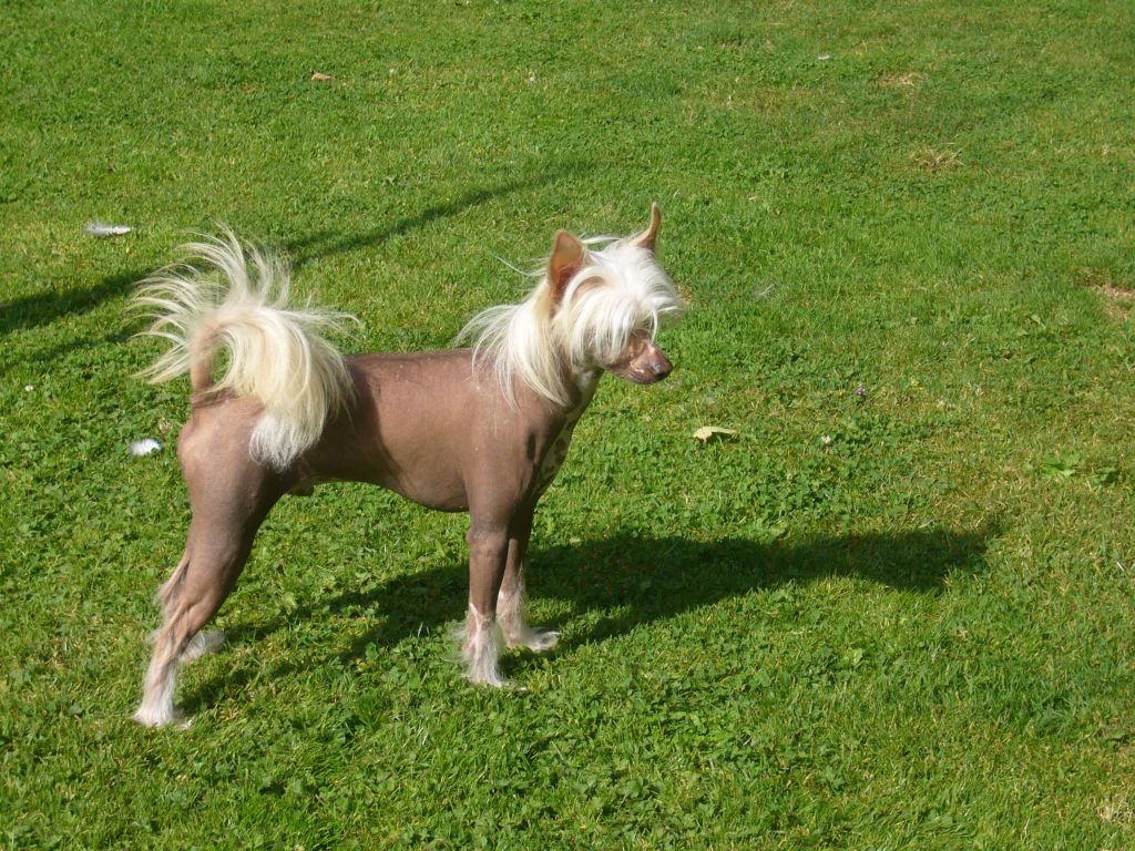 Despinia Nation'L Atraction