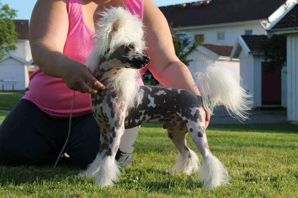 Yagudina's Suspicous Minds