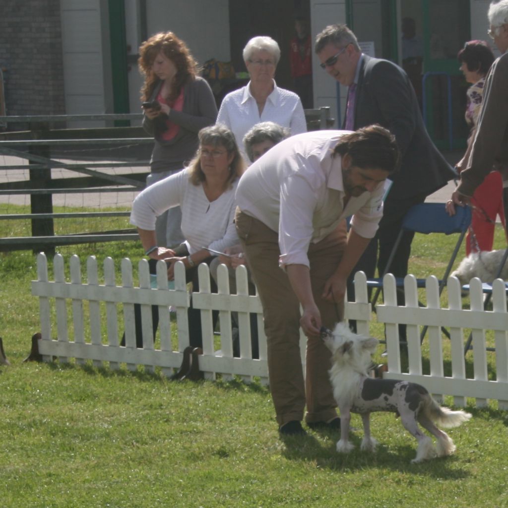 Habiba Too Kool For Skool