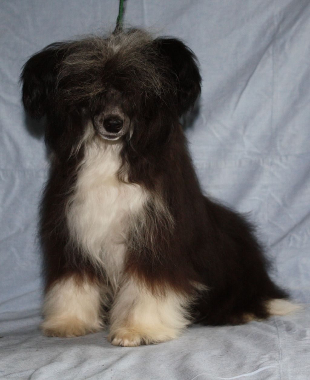 Fantazy Night Riki Princess Perl