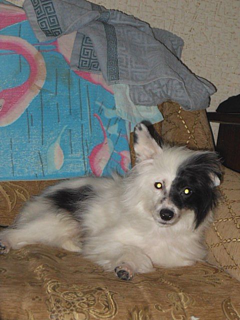 Angel O' Check Barin.