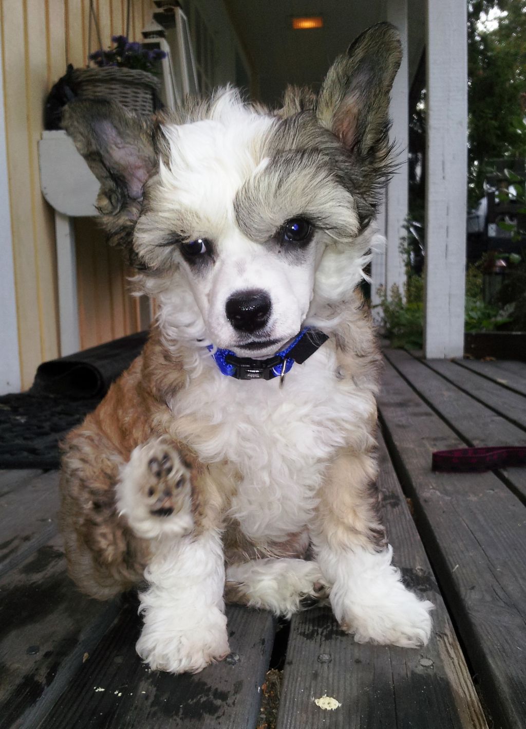 Sun-Hee's Only The Lonely