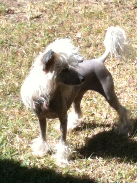 Wumao Indecent Exposure