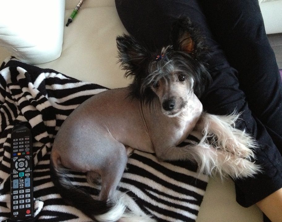 Prince Cool Lady