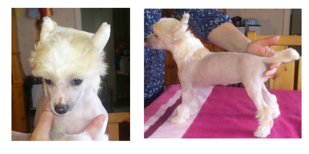 Beachcrest Diamonds Are Forever