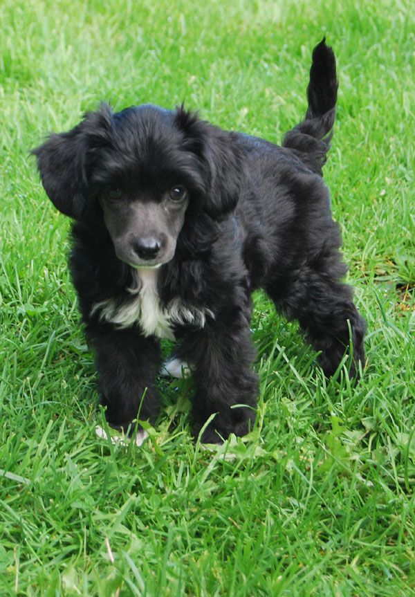 Beauty of XLNZ Six Full Of Life