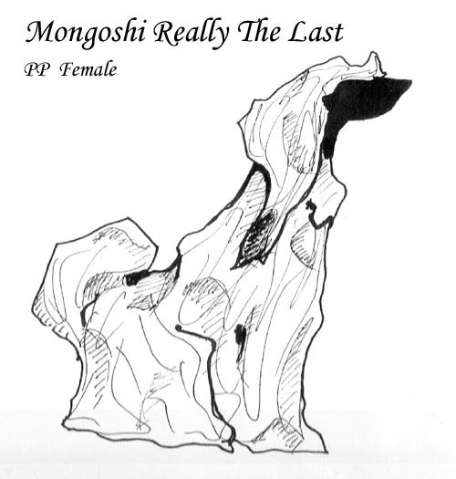 Mongoshi Really  The Last