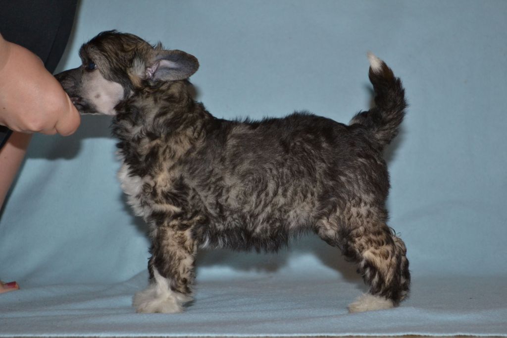 Fiabella's Diamond Stash