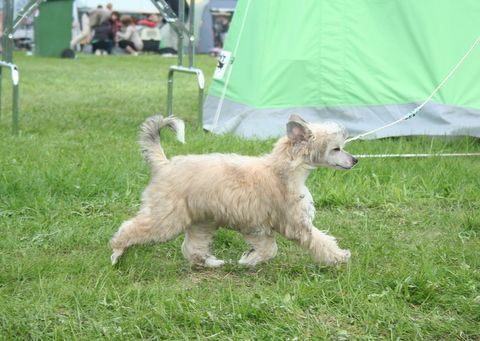 Zorrazo Trick Or Treat