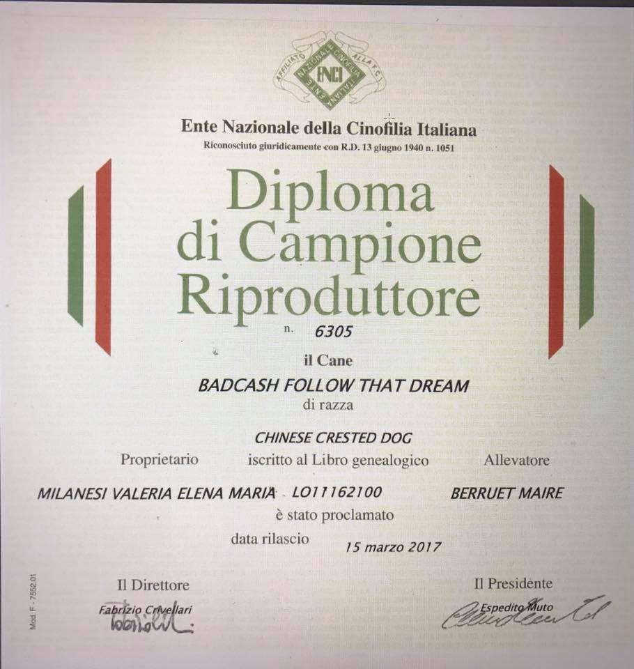 Badcash Follow That Dream