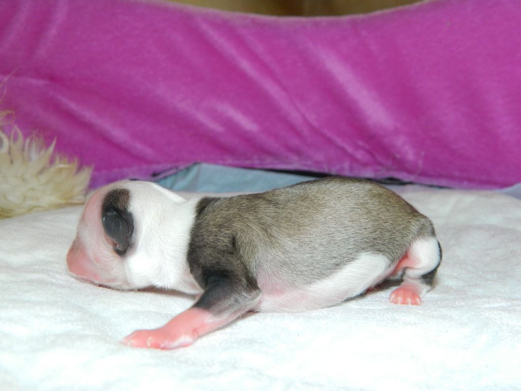 Megi Ea Dio della Saggezza