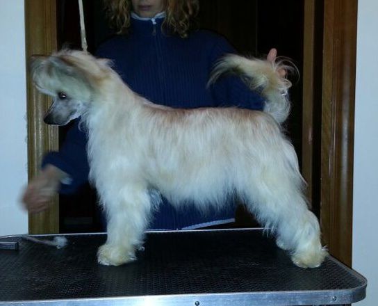 Megi Feronia Dea dei Boschi