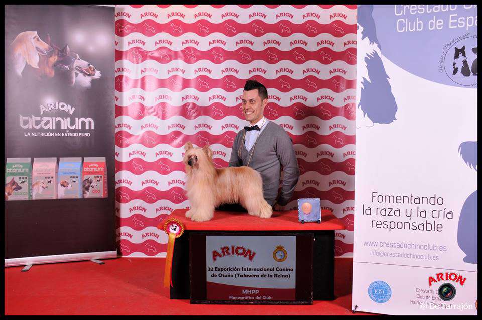 GRCH Tangle of Cotton de Almamasan