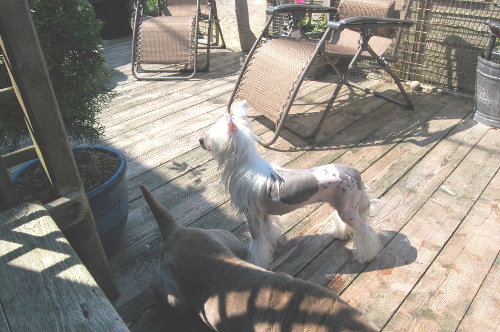 Kranar Spirit of Victory