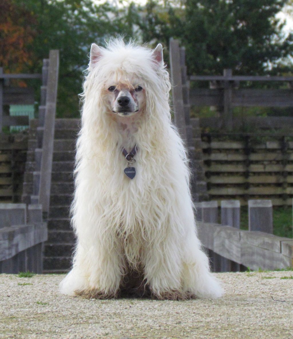 Le Look Top Model De Rama