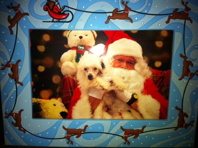 Kalypso's Please Don't Squeeze The Charmin