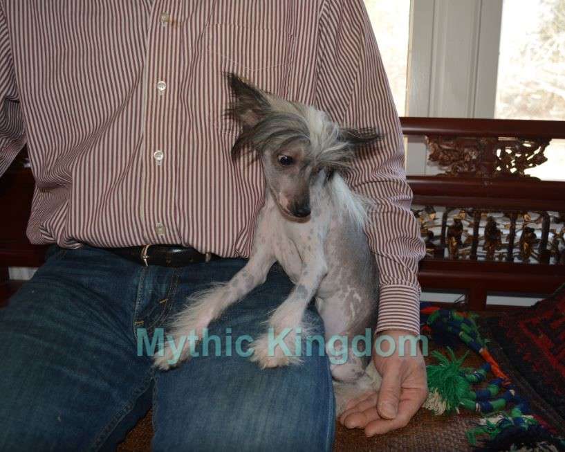 Mythic Mars Bite Size