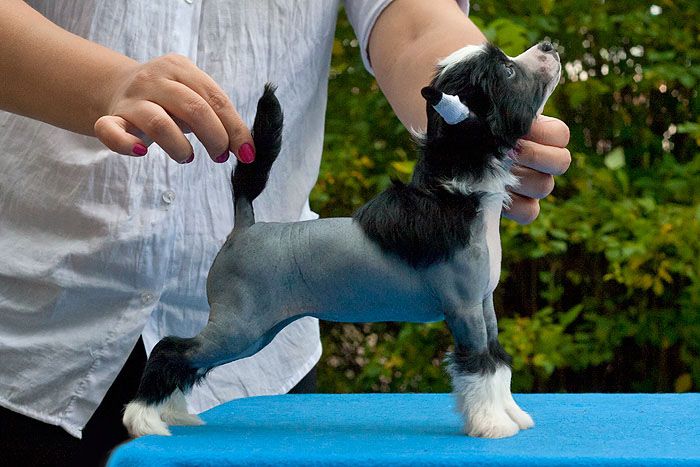 Status Imperial Yamaha Wind Speed