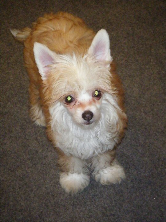 Mei San's Everything Your Not