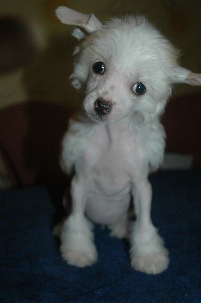 Uilyamina Beauty Of The North