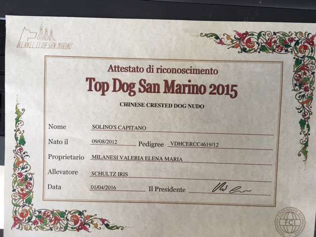 Solino's Capitano - Handling By Federico Sanguinet