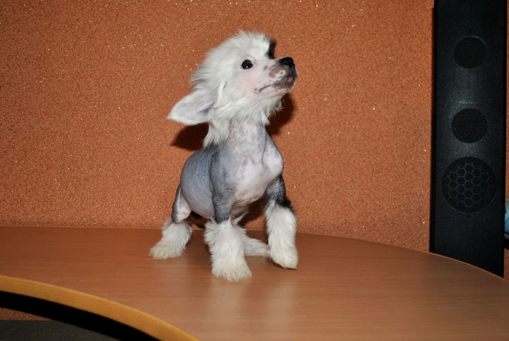 Grand Sunlife Patrisiya Lucia