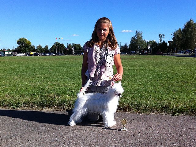 Mimi Dog Doll Tanuki