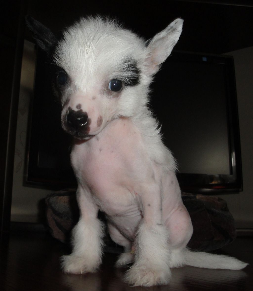 I'll tell you a secret