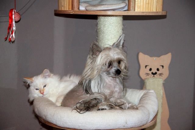 Esencja Piekna Innowacja