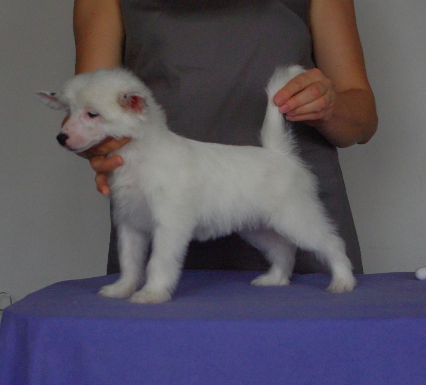 Secret Eteryczna Panna