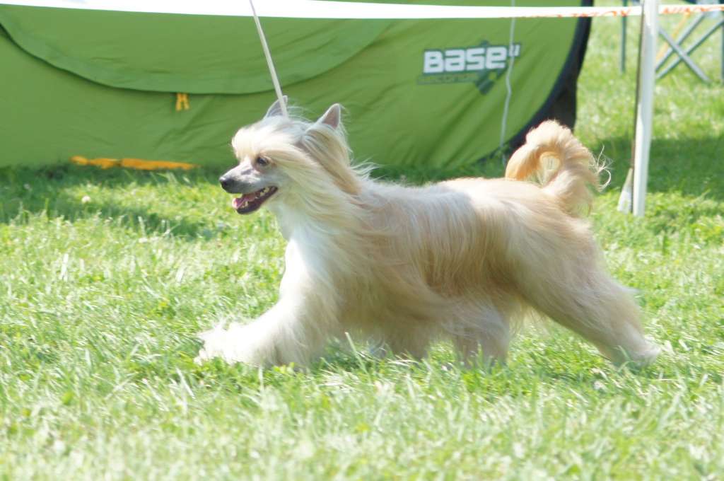 LAMIA Just Like Summer