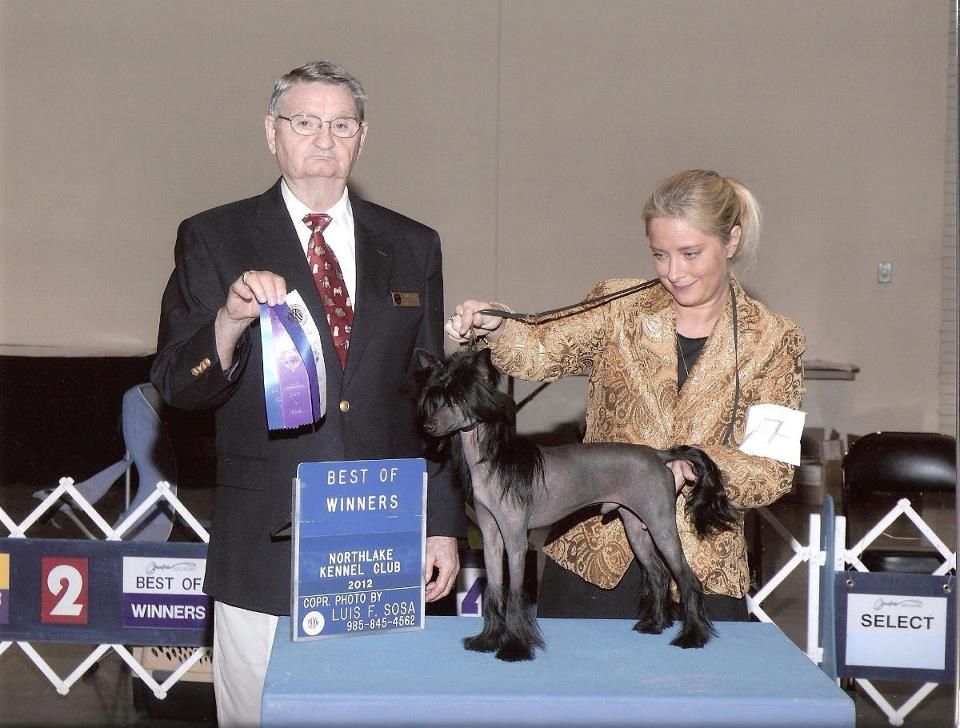 Woodcrest Always Bet On Black