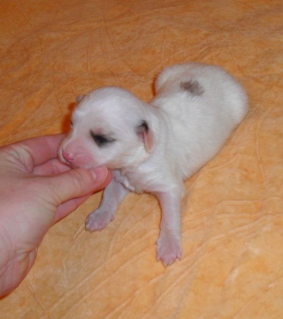 Ovatii   Zulyal  Lake