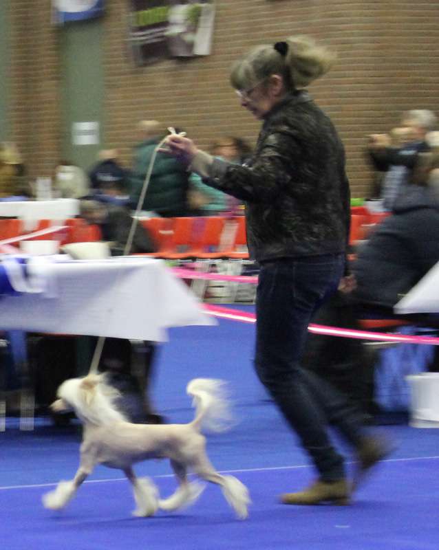 CH Hasslan Du Coeur Des Tenebres